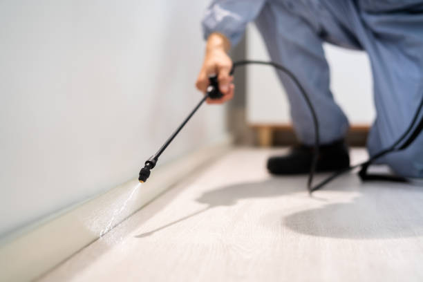 Licensed Termite Control service in Saegertown, PA - Show Me Pest Control