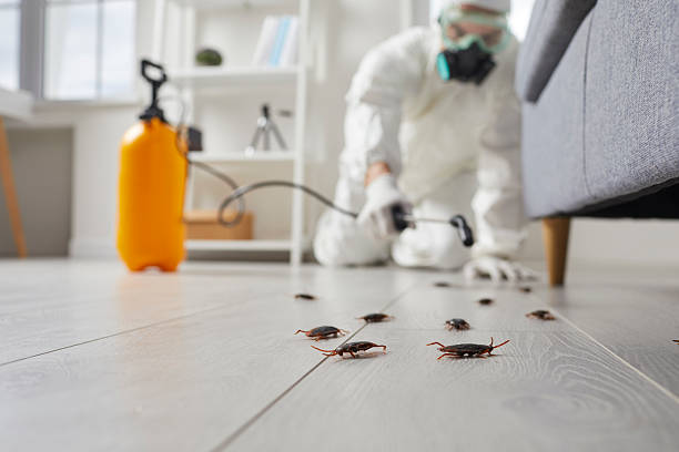 Commercial Rodent Management in Saegertown